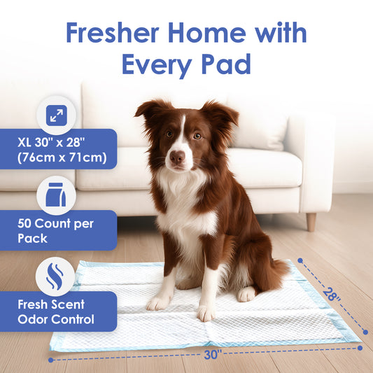 Akc Fresh Scent Xl 50Ct Training Pads 28" X 30"