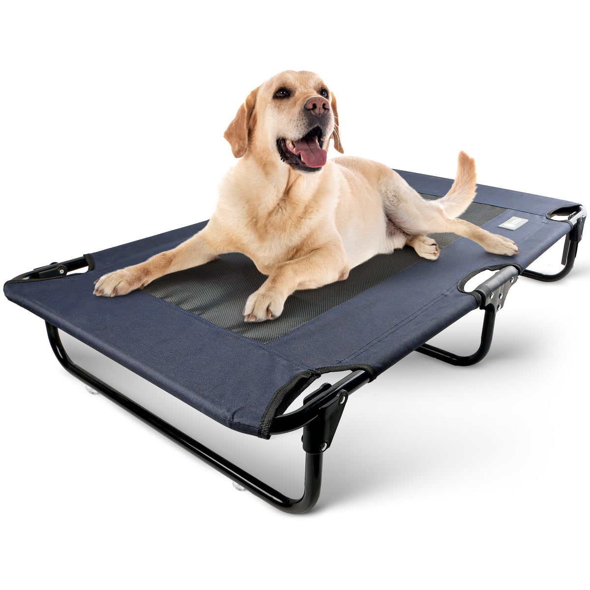 Akc Small 20" X 30" Pet Cot With Mesh Center Blue