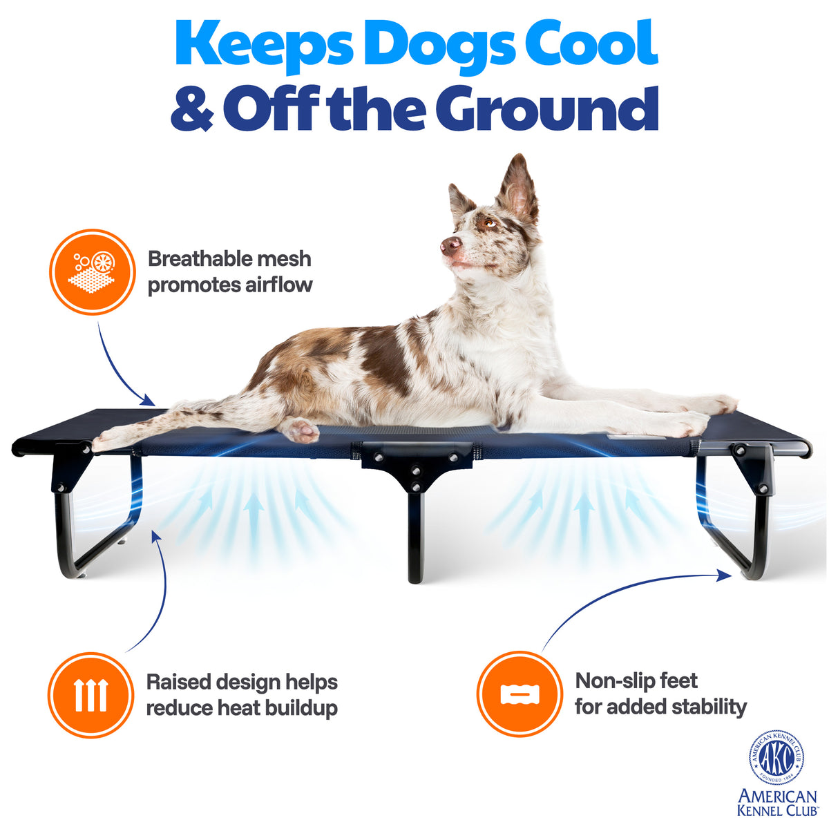 Akc Small 20" X 30" Pet Cot With Mesh Center Blue