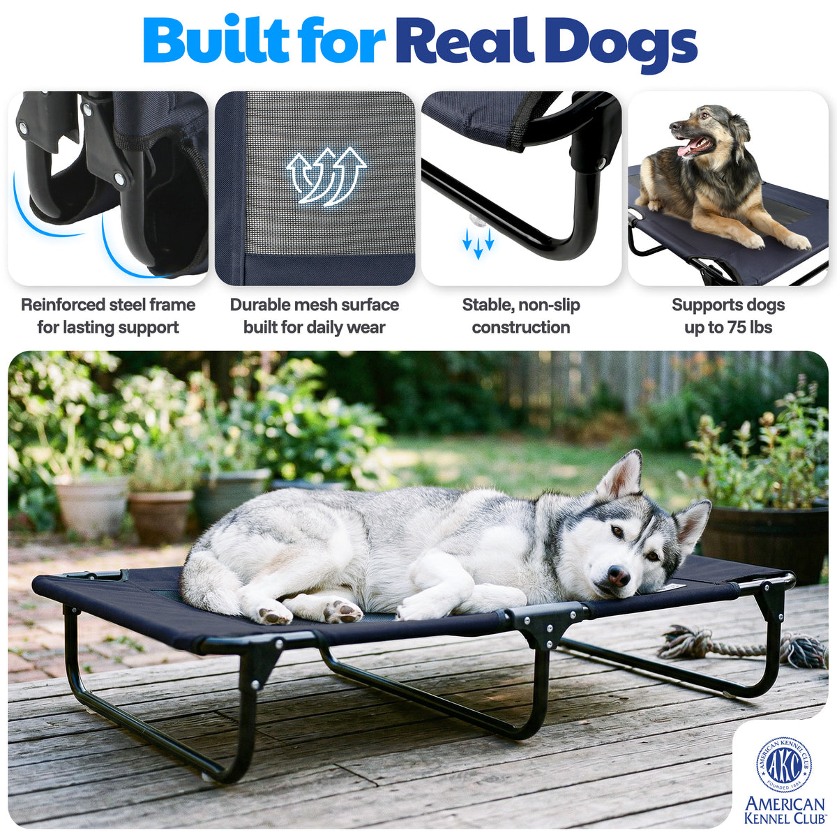Akc Small 20" X 30" Pet Cot With Mesh Center Blue