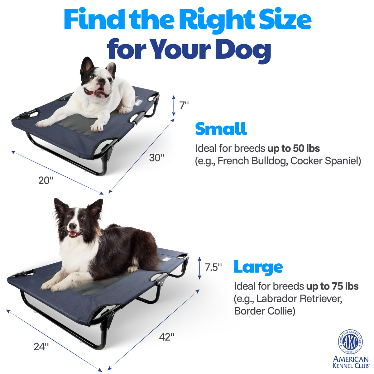 Akc Large 24" X 42" Pet Cot With Mesh Center Blue
