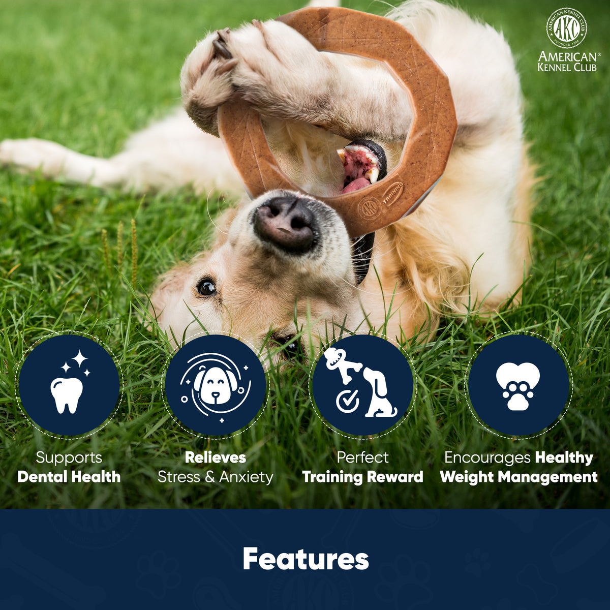 Akc Training Ring Chew Toy For Dogs