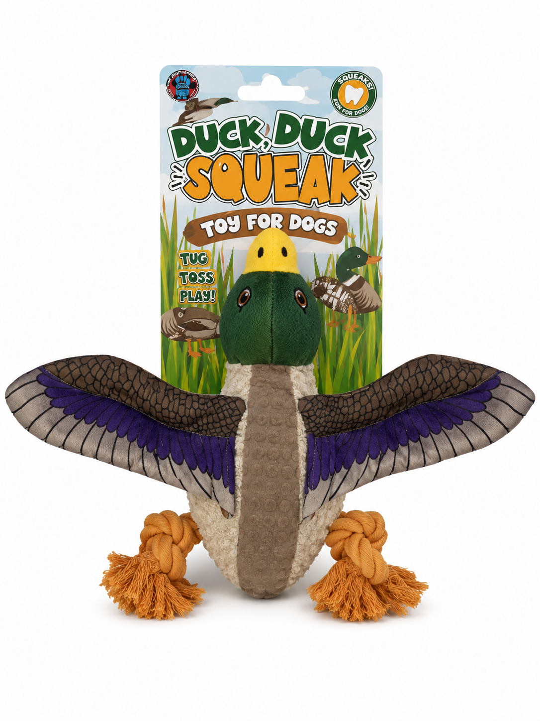 Bow Wow Bird With Tpr Back Dog Toy