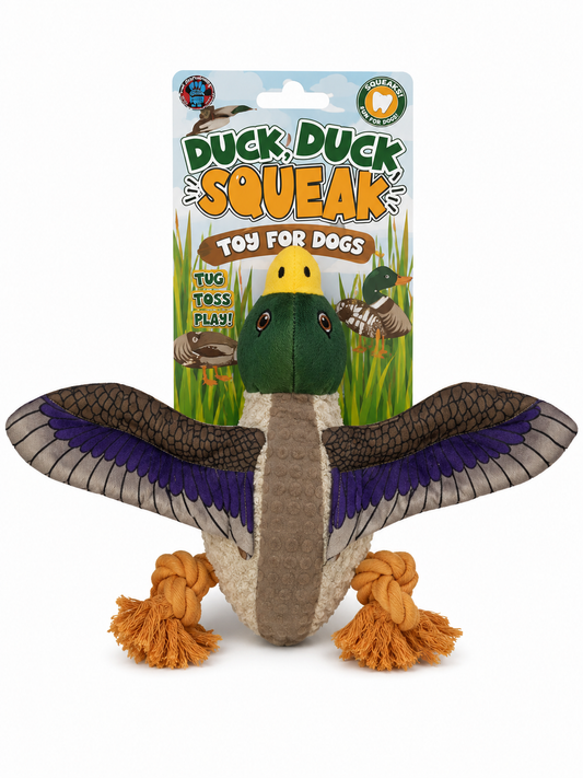 Bow Wow Bird With Tpr Back Dog Toy