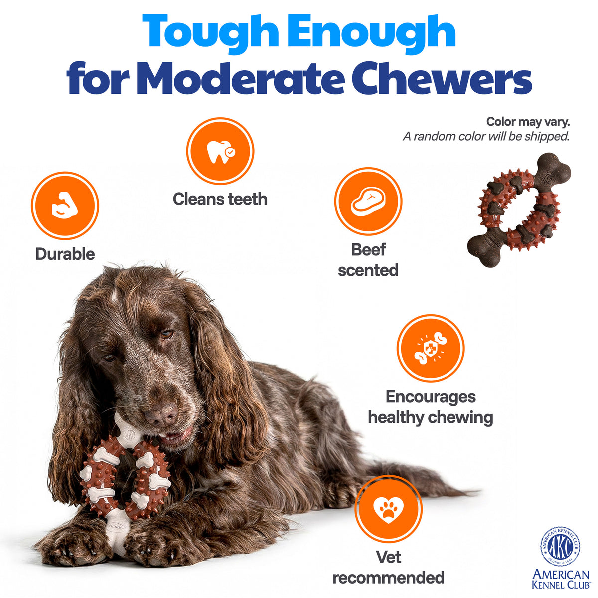 Akc Training Pp Wood Chip Bone With Ring Center And Tpr Spikes