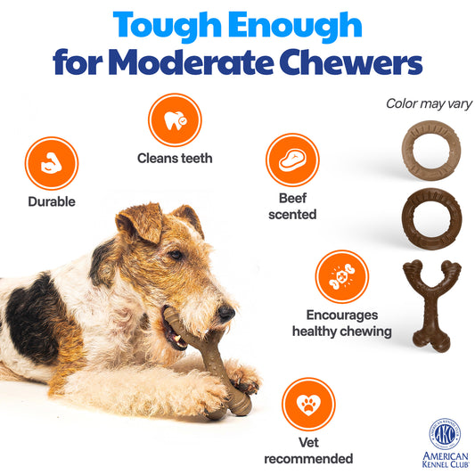 Akc Training 2 Pk Wishbone And Ring Pp Dog Toy