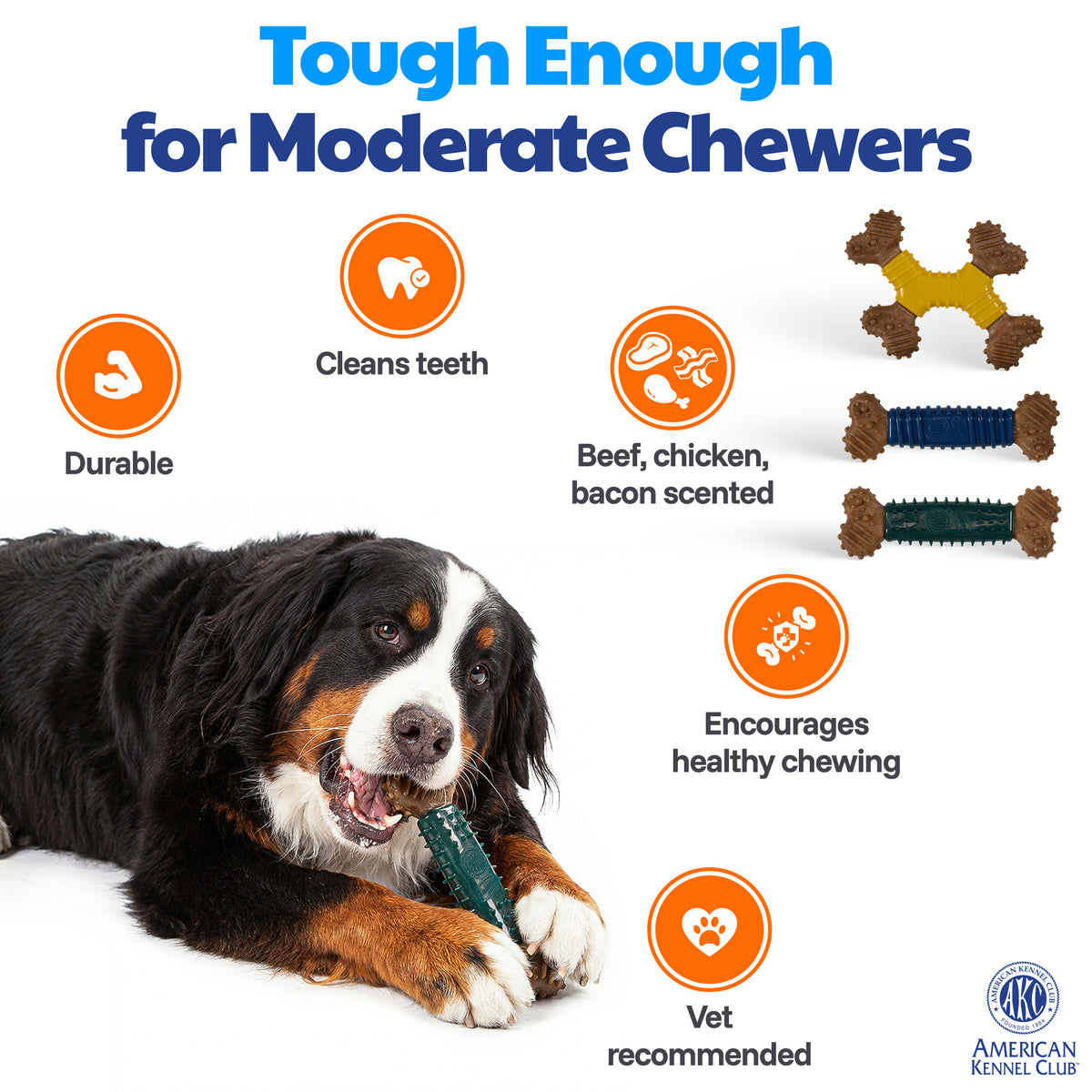 Akc Training 3 Pk Pp With Tpr Dog Toy