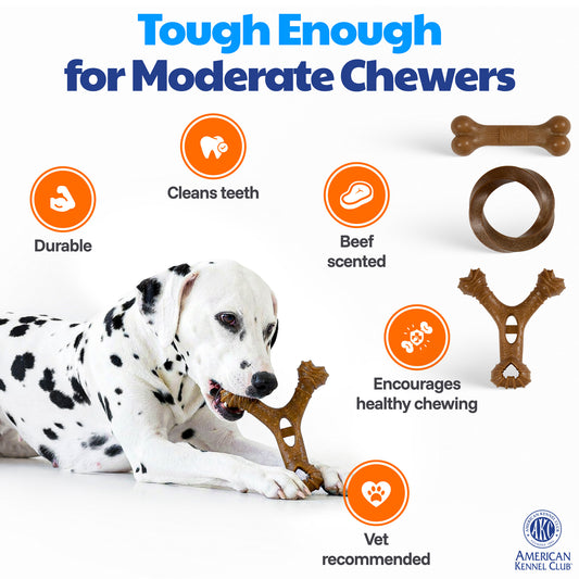 Akc Training 3 Pk Pp Assorted Dog Toy