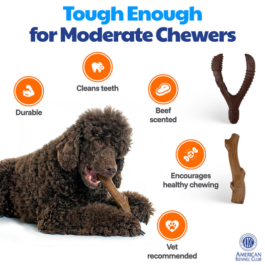 Akc Training 2 Pk Pp Assorted Dog Toy