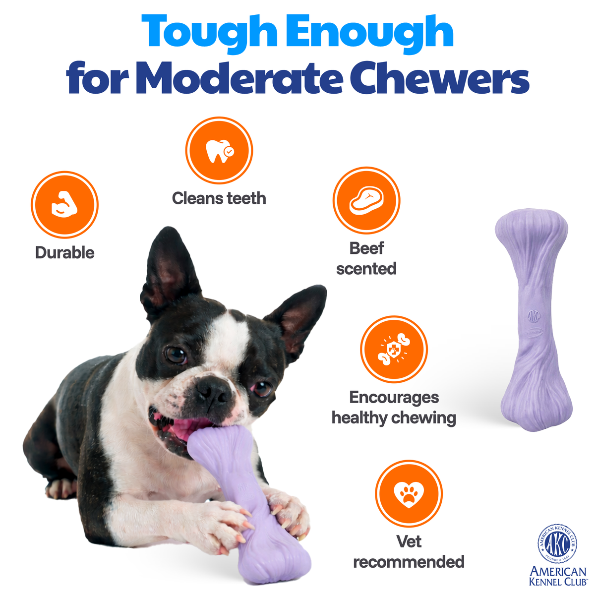 Akc Training Pp Large Bone Dog Toy Purple