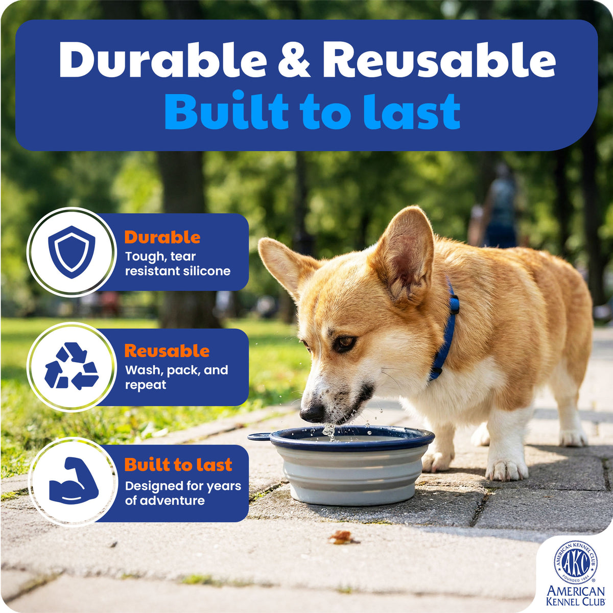 Akc 2 Pk Collapsible Travel Bowl Blue/Gray