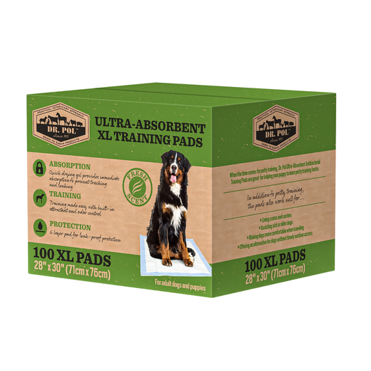 Dr Pol100Ct 28X30 Fresh Scent Training Pads In Box