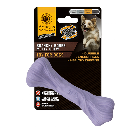 Akc Training Pp Large Bone Dog Toy Purple